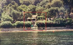 Studio Nausica... A Sense Of Paradise!
